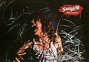 Photo de Suspiria 52 / 85