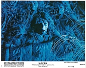 Photo de Suspiria 62 / 85