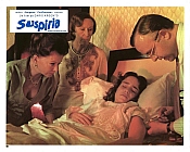 Photo de Suspiria 66 / 85