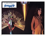 Photo de Suspiria 67 / 85