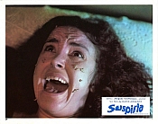 Photo de Suspiria 69 / 85