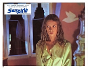 Photo de Suspiria 70 / 85