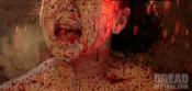 Photo de The ABCs of Death 19 / 24