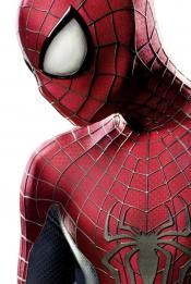 Photo de The Amazing Spider-Man : le destin d'un Héros 19 / 79