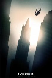 Photo de The Amazing Spider-Man : le destin d'un Héros 71 / 79