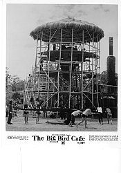 Photo de The Big Bird Cage 3 / 12