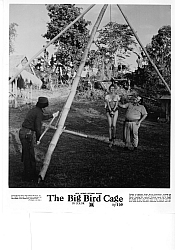 Photo de The Big Bird Cage 12 / 12