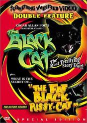 Photo de The Black Cat  2 / 2