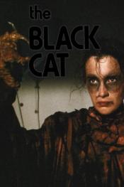 Photo de The Black Cat 2 / 2
