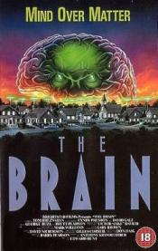 Photo de The Brain 1 / 1