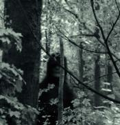 Photo de The Bye Bye Man  18 / 48