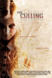 Photo de The Culling 6 / 6