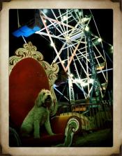 Photo de The Devil's Carnival 4 / 15