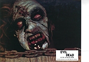 Photo de Evil Dead, The 7 / 53