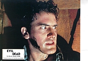 Photo de Evil Dead, The 11 / 53