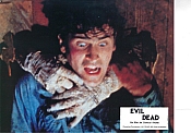 Photo de Evil Dead, The 14 / 53