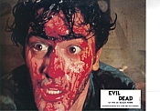 Photo de Evil Dead, The 15 / 53