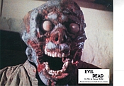 Photo de Evil Dead, The 26 / 53
