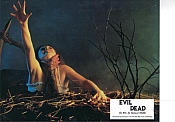 Photo de Evil Dead, The 37 / 53