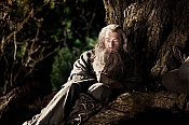 Photo de Hobbit : un Voyage Inattendu, Le 1 / 187