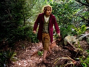 MEDIA - HOBBIT  UN VOYAGE INATTENDU LE  - Une photo de Martin Freeman en Bilbo Baggins