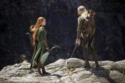 Photo de Hobbit : la Désolation de Smaug, Le 4 / 73