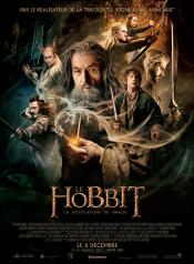 CRITIQUES - HOBBIT  LA DESOLATION DE SMAUG LE de Peter Jackson