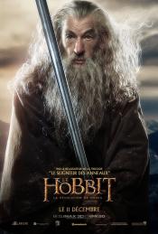 Photo de Hobbit : la Désolation de Smaug, Le 61 / 73