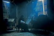 Photo de The HouseMaid 6 / 23