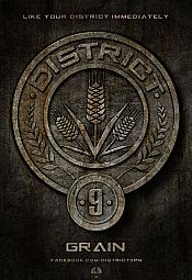 Photo de Hunger Games 48 / 67