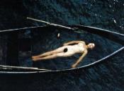 Photo de Île, L' 6 / 12