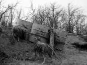 Photo de Musaraignes Tueuses, Les 2 / 2