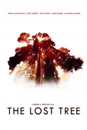 Photo de The Lost Tree 3 / 3