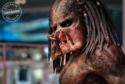 MEDIA - THE PREDATOR Une nouvelle image du Predator