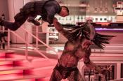 Photo de The Predator  13 / 21