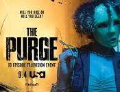 Photo de The Purge  9 / 11