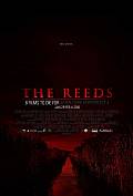 The Reeds