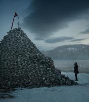 Photo de The Revenant 5 / 15