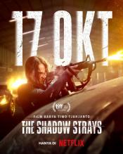 Photo de The Shadow Strays 19 / 22
