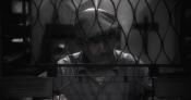 Photo de The Similars 37 / 39