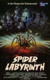 Photo de The Spider Labyrinth 1 / 1