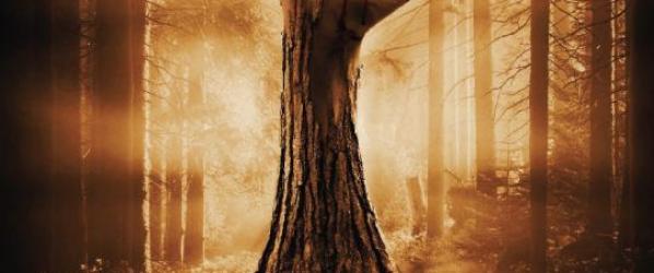 THE WAKE WOOD - La Hammer est de retour