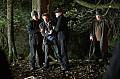 Photo de Wake Wood 13 / 40