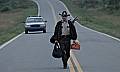Photo de The Walking Dead 8 / 269