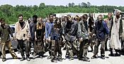 Photo de The Walking Dead 120 / 269