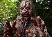 Photo de The Walking Dead 126 / 269