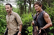 Photo de The Walking Dead 184 / 269
