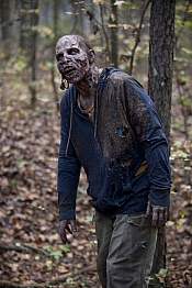 Photo de The Walking Dead 231 / 269