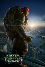 Photo de Teenage Mutant Ninja Turtles 11 / 21