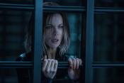 Photo de Underworld: Blood Wars 13 / 26